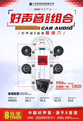 好声音两分频组合（2026译宝严选，好声音8音度套餐六）