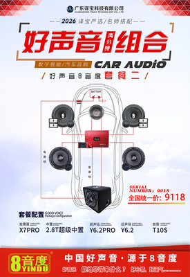 好声音两分频组合（2026译宝严选/名师搭配，好声音8音度套餐二）