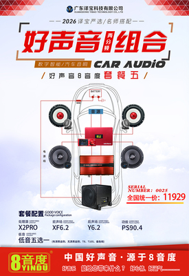 好声音两分频组合（2026译宝严选，好声音8音度套餐五）