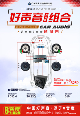 好声音两分频组合（2026译宝严选/名师搭配，好声音8音度套餐四）